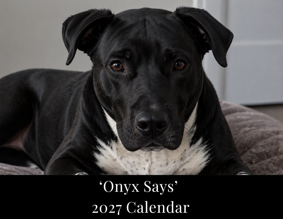 Onyx Says™ 2027 Digital Calendar