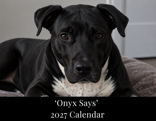 Onyx Says™ 2027 Digital Calendar