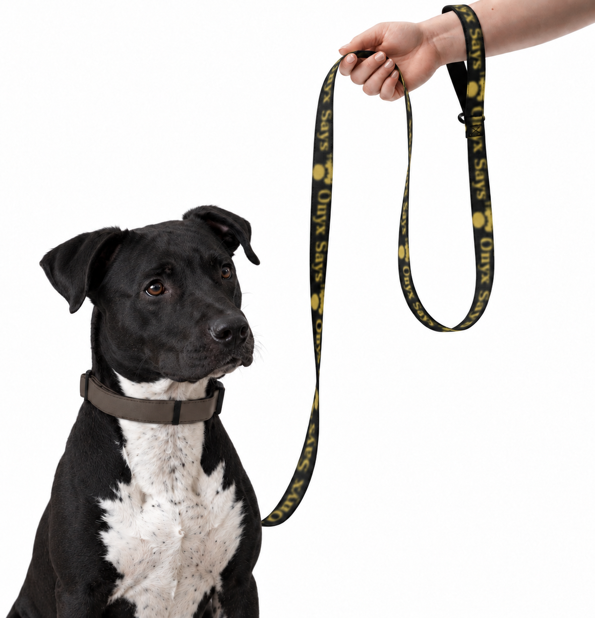 Onyx Says™ Signature Pet Leash