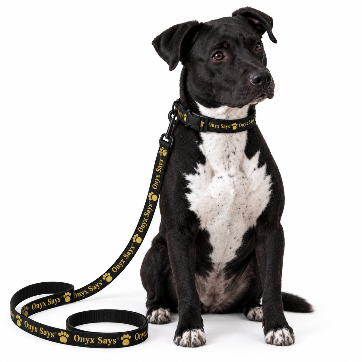 Onyx Says™ Premium Collar & Leash Set